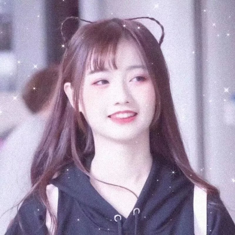 堪萨斯小猫